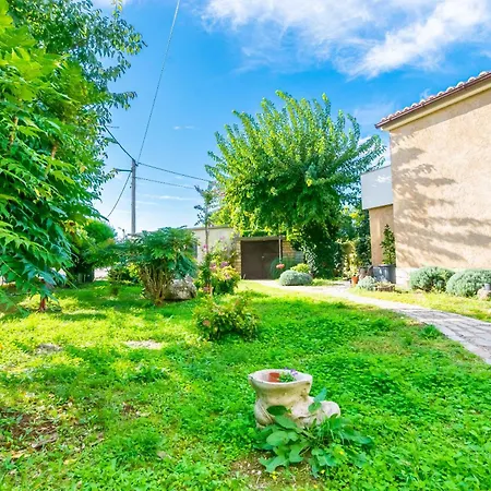 Apartment Petar