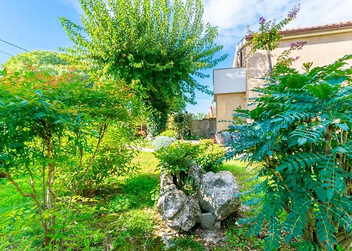 Petar Διαμέρισμα